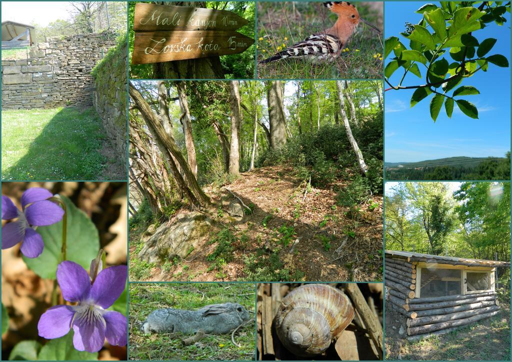The Hug Of Nature Dekani Kültér fotó